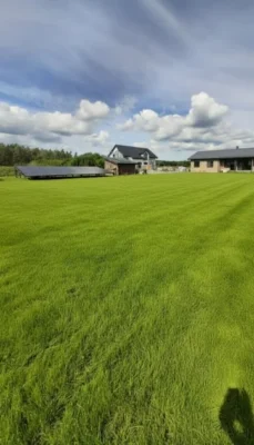 pagalma labiekārtošana un zāliena iesēšana ozolniekos 03