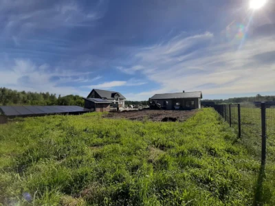 pagalma labiekārtošana un zāliena iesēšana ozolniekos 04