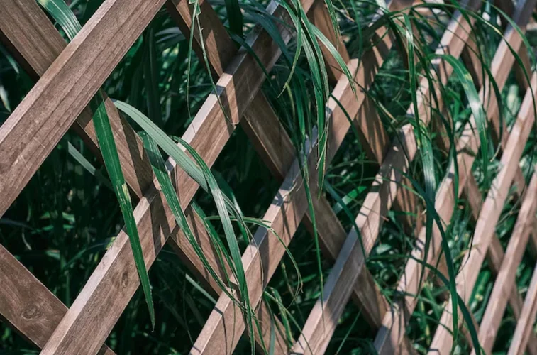 teritorijas labiekārtošana un melorācija 09